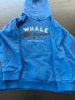 Hoodie filou and friends maat 122, Kinderen en Baby's, Kinderkleding | Maat 122, Trui of Vest, Filou & Friends, Ophalen of Verzenden