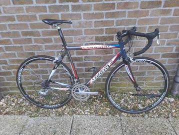 Wilier Evasion racefiets, unisex model in zeer nette staat.  beschikbaar voor biedingen