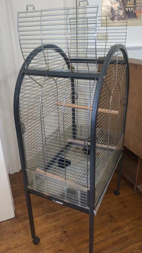 Grande cage à oiseaux, Animaux & Accessoires, Oiseaux | Cages & Volières, Utilisé, Cage à oiseaux