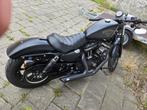 Harley Davidson 883 iron, Motoren, Particulier