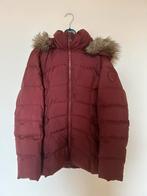 Damesjas Tommy Hilfiger maat L, Kleding | Dames, Jassen | Winter, Maat 42/44 (L), Ophalen of Verzenden, Zo goed als nieuw