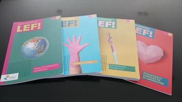 An Verstraelen - Vast Boek beschikbaar voor biedingen