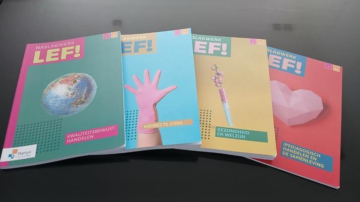 An Verstraelen - Vast Boek, Livres, Livres scolaires, Neuf, Néerlandais, Enlèvement ou Envoi