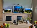 3 x aquariums, tout compris. Animaux, chauffage, filtre, air, Poisson