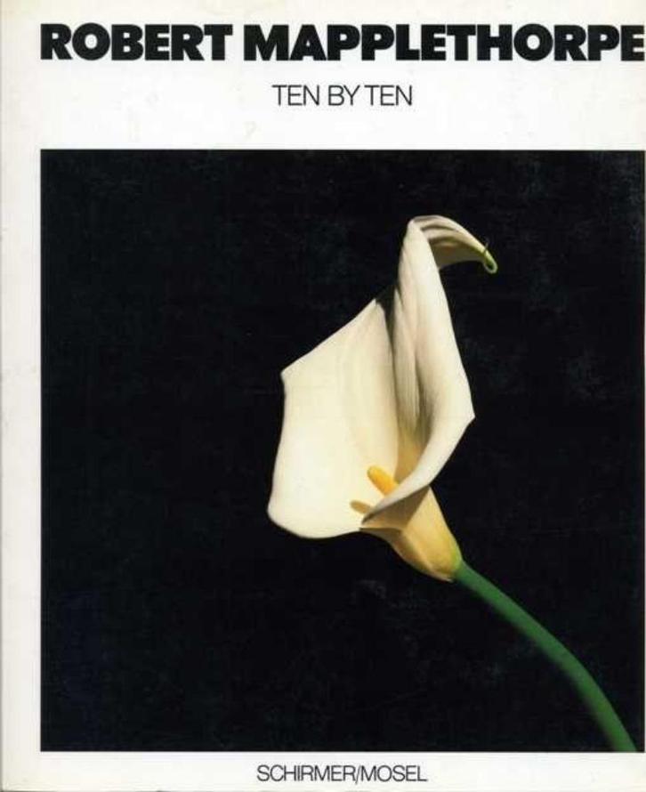Robert Mapplethorpe  2   Fotoboek, Boeken, Kunst en Cultuur | Fotografie en Design, Nieuw, Fotografen, Verzenden