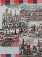 10 postkaarten floralien Gent, Verzamelen, Ophalen