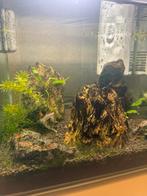 Aqarium 30l, Dieren en Toebehoren, Ophalen, Gebruikt