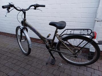 24 inch Fleur beschikbaar voor biedingen