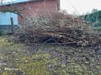snoeihout GRATIS, Minder dan 3 m³, Ophalen, Overige houtsoorten, Takken