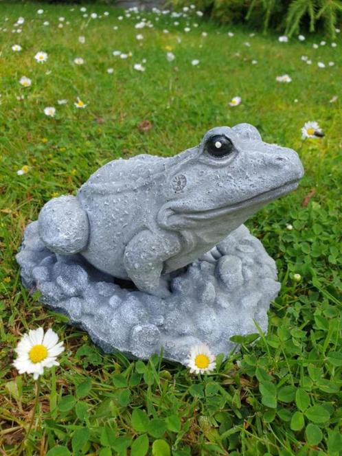 kikker tuinbeeld, Tuin en Terras, Tuinbeelden, Nieuw, Dierenbeeld, Beton, Ophalen of Verzenden