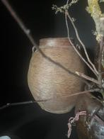 Stenen kruik/ stenen pot/ bloempot, Ophalen, ., ., .