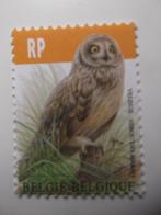 Velduil - Hibou des marais, Ophalen of Verzenden, Postfris, Frankeerzegel, Postfris