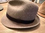 Herenhoed maat 54 = Small, Kleding | Heren, Hoeden en Petten, Ophalen of Verzenden, Zo goed als nieuw, Delysio, Hoed