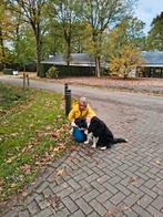 Dierenoppaser bij jouw thuis, uitlaatservice, Uitlaatservice