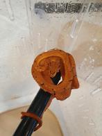 Corallus Hortulanus Dalmatien caramel. ne mi Aout 2025., Animaux & Accessoires, Reptiles & Amphibiens, Serpent, 0 à 2 ans