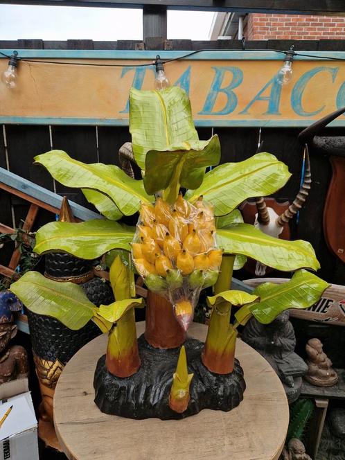 Prachtige houten bananenboom uit indonesië, Huis en Inrichting, Kamerplanten, Ophalen of Verzenden