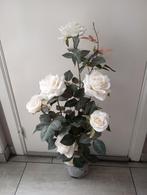 Rose à vendre blanche à 12 € fixe, Enlèvement, Comme neuf