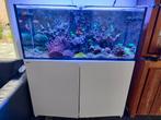 Red Sea reefer 350, Dieren en Toebehoren, Ophalen, Zo goed als nieuw