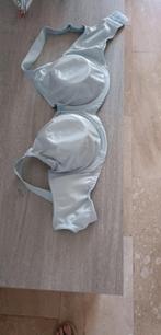Blauwgrijze BH TRIUMP, Kleding | Dames, Ondergoed en Lingerie, TRIUMPH, Ophalen of Verzenden, Blauw, BH