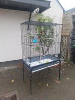 Vogelkooi, Dieren en Toebehoren, Vogels | Hokken en Kooien, Ophalen, Nieuw, Vogelkooi