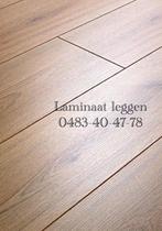 Professioneel Laminaat & Schilderwerk, Livres, Art & Culture | Architecture, Enlèvement, Comme neuf