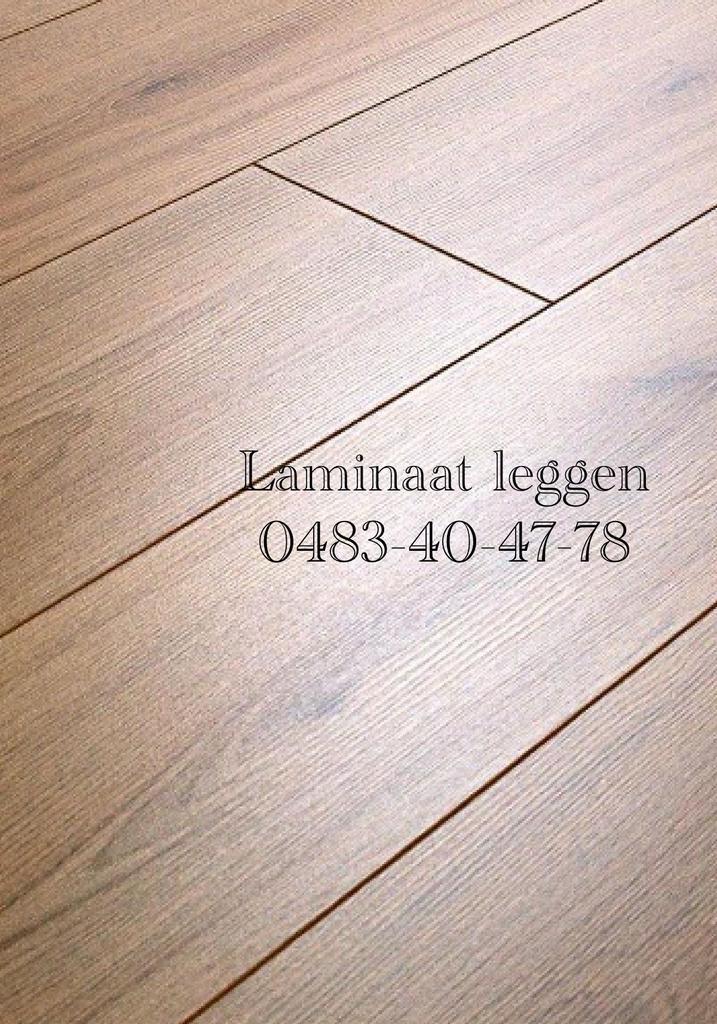 Professioneel Laminaat & Schilderwerk, Livres, Art & Culture | Architecture, Comme neuf, Enlèvement