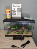aquarium 20L (neuf) complet +filtre + tt les accessoires, Ophalen of Verzenden, Nieuw, Overige typen