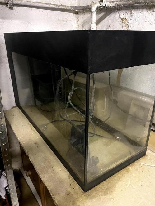 gros lot aquarium, Dieren en Toebehoren, Vissen | Aquaria en Toebehoren, Gebruikt, Overige typen, Ophalen