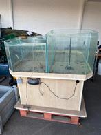 Groot aquarium met meubel & filtercompartimenten, Dieren en Toebehoren, Ophalen, Zo goed als nieuw