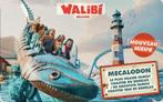 Tiket Walibi belgium et Bellewaerde, Tickets en Kaartjes
