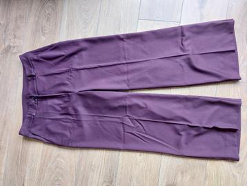 Paarse damesbroek maat medium. Nieuw.  beschikbaar voor biedingen