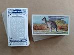 Natural History complete set 50 chromos John Player 1924, Avant 1940, Enlèvement ou Envoi, Animal