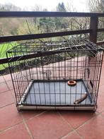 cage chien, Animaux & Accessoires, Autres accessoires pour animaux, Enlèvement, Cage pour chien