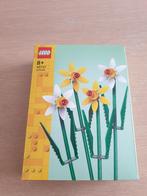 LEGO Bloemen set 40747 Daffodils - nieuw ongeopend, Enlèvement, Neuf, Ensemble complet, Lego