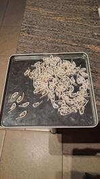 Gordijnhaken, Ophalen, Wit