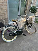 Kinderfiets, Fietsen en Brommers, Fietsen | Meisjes, Ophalen, Gebruikt, Alpina