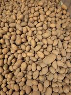 Voederaardappelen, Ophalen