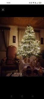 Kerstboom + stal + versiering, Diversen, Kerst, Ophalen