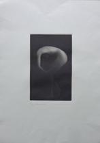 MIKIO WATANABE / METAMORPHOSE / ZW-W MEZZOTINT 53x57cm SIG, Enlèvement ou Envoi