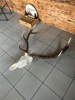 Groot gewei, Enlèvement, Comme neuf