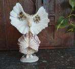 vintage uil schelpen, Ophalen of Verzenden