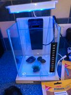 Aquarium zolux nano 8 litres avec accessoires, Dieren en Toebehoren, Vissen | Aquaria en Toebehoren, Gebruikt, Ophalen