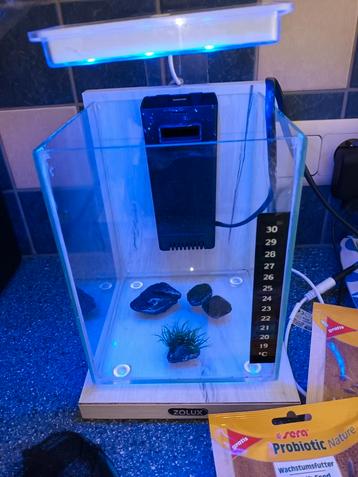 Aquarium zolux nano 8 litres avec accessoires 