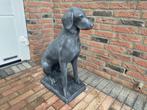 Engelse Jachthond, Pointer,Weimaraner, Tuin en Terras, Tuinbeelden, Ophalen, Nieuw, Beton, Dierenbeeld