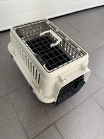cage de transport pour  chat, Ophalen, Gebruikt