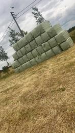 Voordroog  en hooi, Dieren en Toebehoren, Dierenvoeding, Ophalen, Overige soorten