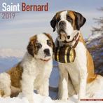 Calendrier Saint-Bernard 2019, Divers, Calendriers, Envoi, Calendrier annuel, Neuf