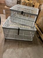 La fête de Riverdale est neuve dans sa boîte !, Enlèvement, Maison et Meubles