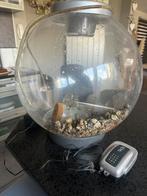 Aquarium env. 30 litres avec pompe, Utilisé, Aquarium vide