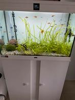 Aquarium 150 litres, Animaux & Accessoires, Utilisé